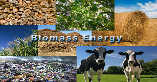 biomass energy