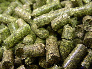 grass pellet made by grass pellet making machine