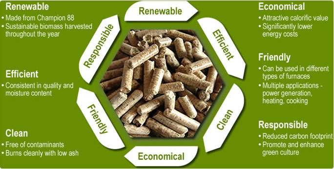 Biomass pellet mill, build your future