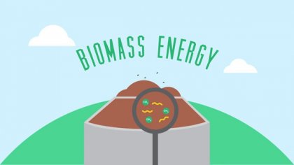 what’s the feature of biomass energy