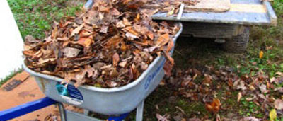 leaves of homemade pellet press