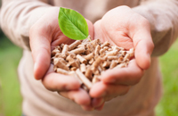 wood pellets are green and clean