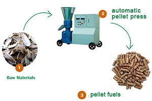 Automatic pellet press for sale