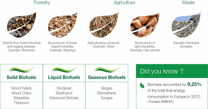 biomass energy 