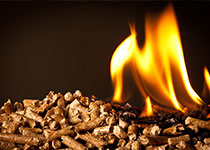 biomass pellet fuels