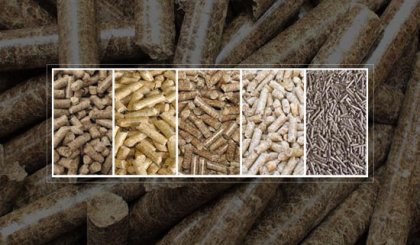 Wood pellet in the emerging Asian biomass market